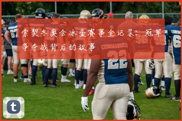 索契冬奥会冰壶赛事全记录：冠军争夺战背后的故事