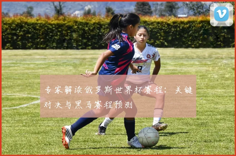 专家解读俄罗斯世界杯赛程:关键对决与黑马赛程预测