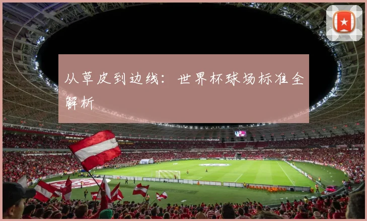 从草皮到边线：世界杯球场标准全解析