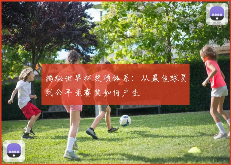 揭秘世界杯奖项体系:从最佳球员到公平竞赛奖如何产生