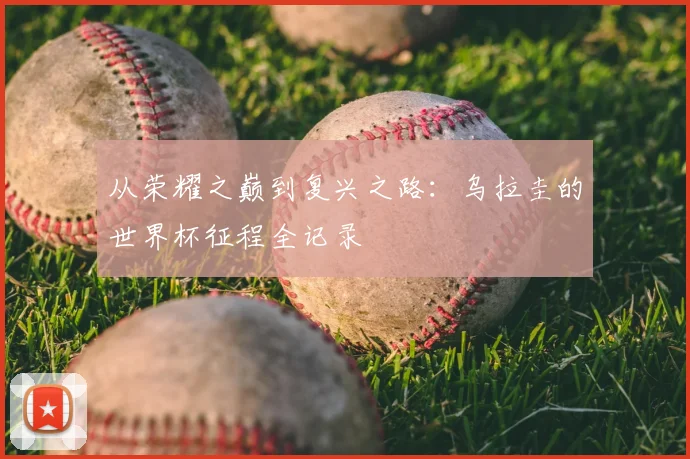 从荣耀之巅到复兴之路：乌拉圭的世界杯征程全记录