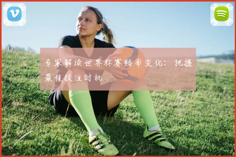 专家解读世界杯赛赔率变化：把握最佳投注时机